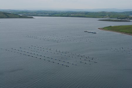 Aquaculture. Image credit David Branigan