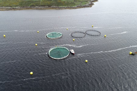 Lehanagh Pool sea site, Connemara, Co. Galway.