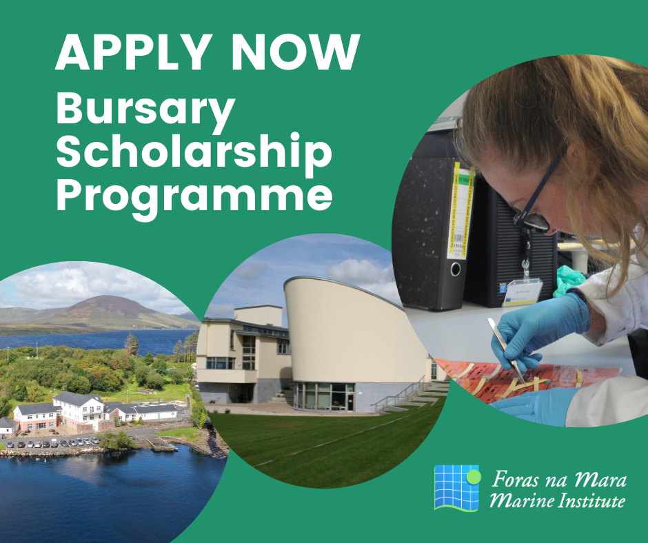 Bursary Scholarship Programme