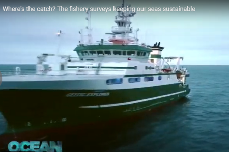 Where's the catch? The fishery surveys keeping our seas sustainable