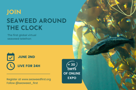 Seaweed around the clock