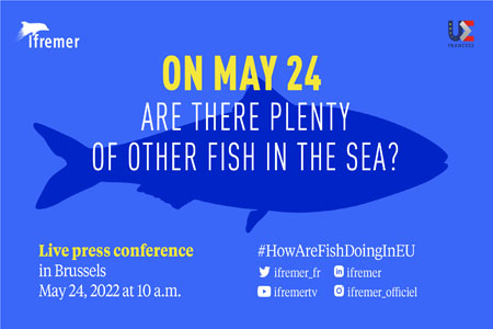 Annual press conference on the status of fisheries