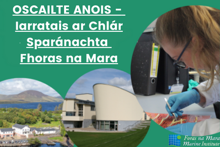 Iarratais ar Chlár Sparánachta Fhoras na Mara.
