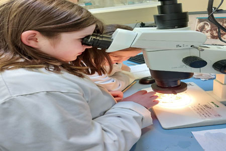 Faye Sweeney and Robin Troy looking for Freshwater Pearl Mussels from the Marine Institute’s captive breeding program at the Marine Institute's Research Facility in Newport, Co. Mayo. Faye Sweeney and Robin Troy looking for Freshwater Pearl Mussels from the Marine Institute’s captive breeding program at the Marine Institute's Research Facility in Newport, Co. Mayo.