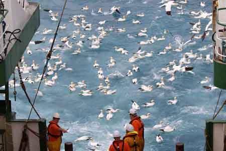 Protection and Preservation of Marine Biodiversity on show at Expo