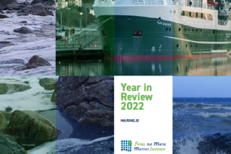 Marine Institute Year in Review 2022
