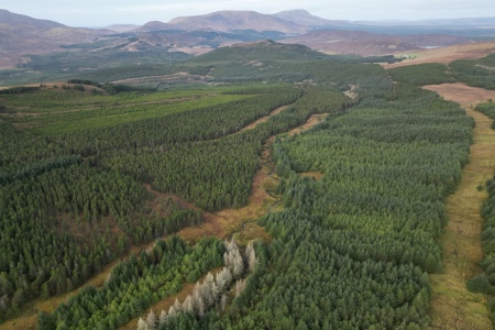 Aerial view of east part of Nephin Forest. Photo Colin Guilfoyle, ATU