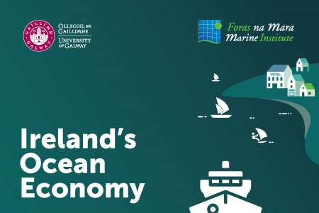 Ireland's Ocean Economy Company Survey 2024