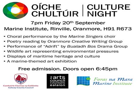 Culture Night 2024