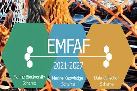 Marine Institute EMFAF Projects Webinar