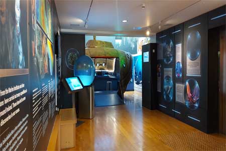 ​Dive into wonder: Celebrate World Oceans Day at the Galway City Museum’s Ocean Celebration Week 