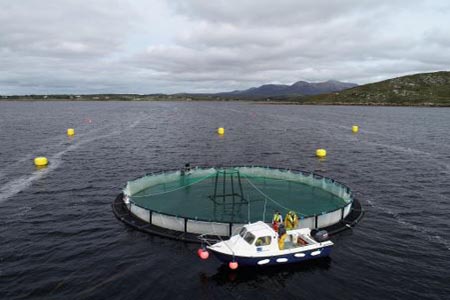 Lehanagh Pool sea site, Connemara, Co. Galway