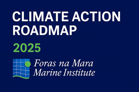 Marine Institute unveils ambitious Climate Action Roadmap 2025