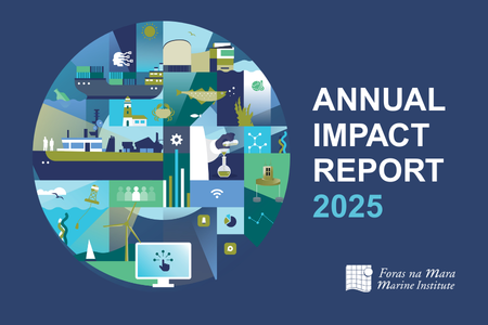 Annual Report 2025 cover with branded illustration