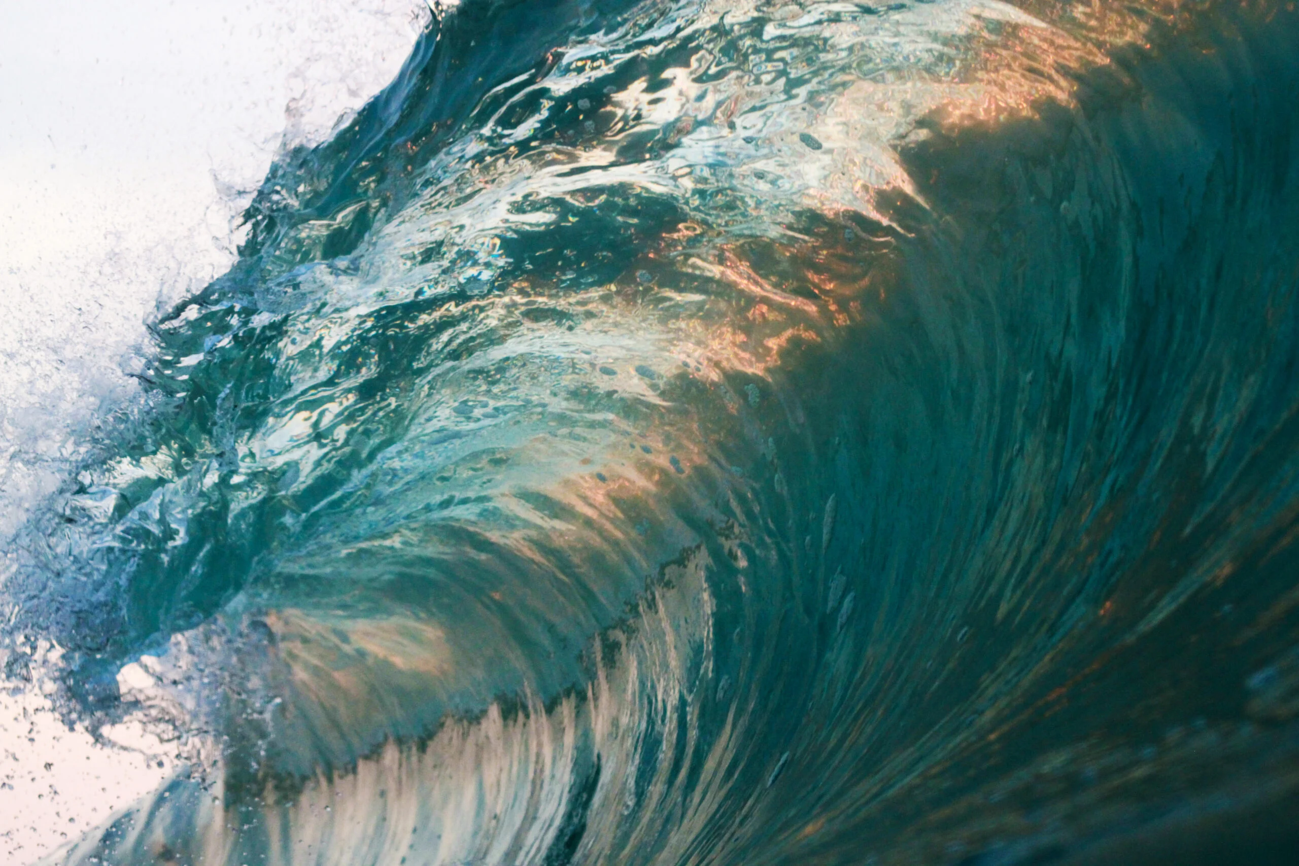 Aquaculture wave graphic