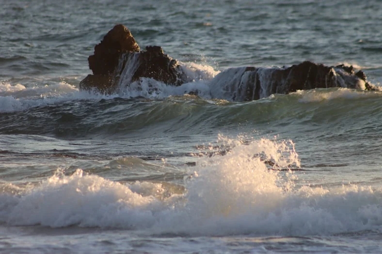 Irish Ocean Climate and Ecosystem Report 2023