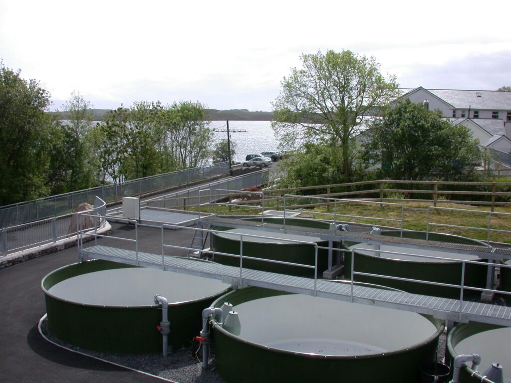 Circular outdoor fish-rearing tanks connected by pipes and raised metal walkways at the Newport facility.