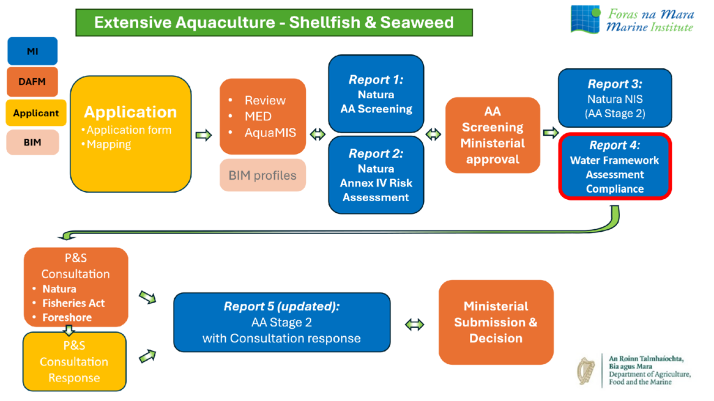 Flowchart of the application, environmental assessment, consultation and ministerial decision process for extensive shellfish and seaweed aquaculture.