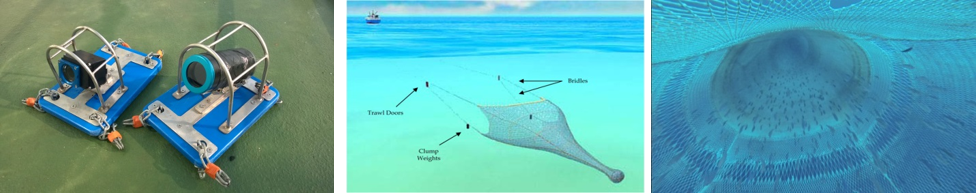 In-trawl camera equipment, a labelled trawl diagram and an underwater view of fish moving through netting.