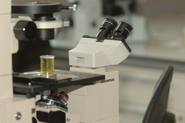 SOURCE-EMBEDDED TEST IMAGE RT2-01-A — laboratory microscope with a sample container on the stage.