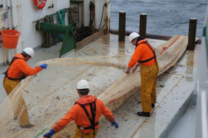 Three crew members in orange waterproof gear handle a large fishing net on the wet deck of a vessel.